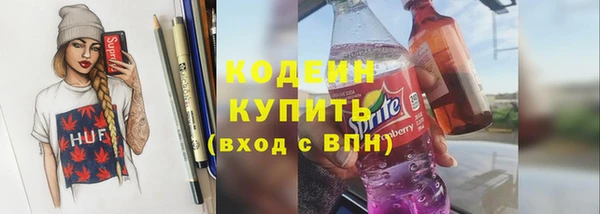 мдпв Горно-Алтайск