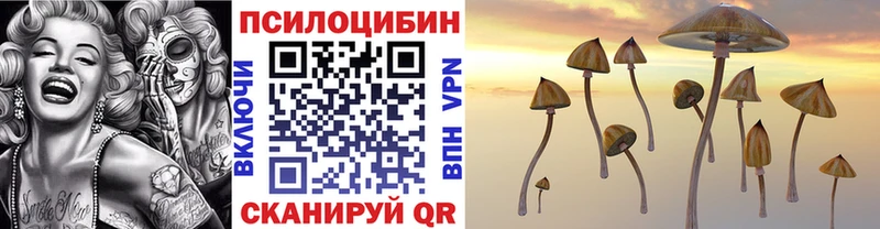 Купить  Белокуриха  Псилоцибиновые грибы Magic Shrooms 